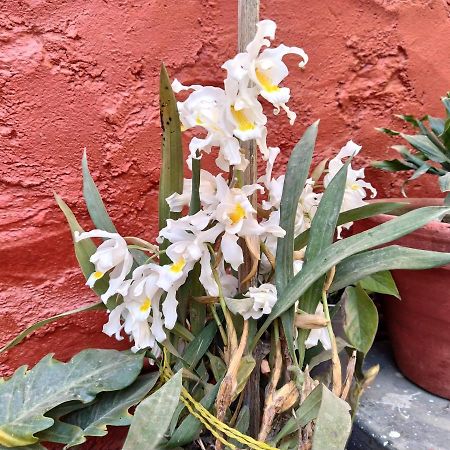 Bhattidanda Fresh & Natural Homestay Dhulikhel Bagian luar foto
