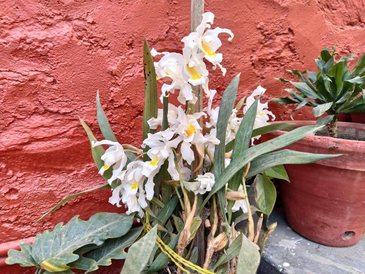 Bhattidanda Fresh & Natural Homestay Dhulikhel Bagian luar foto
