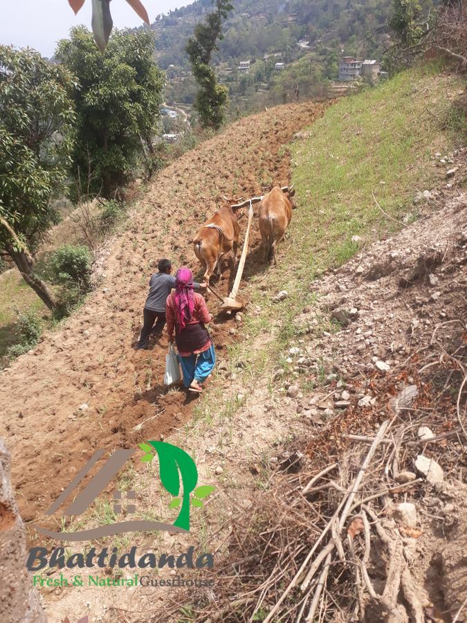 Bhattidanda Fresh & Natural Homestay Dhulikhel Bagian luar foto