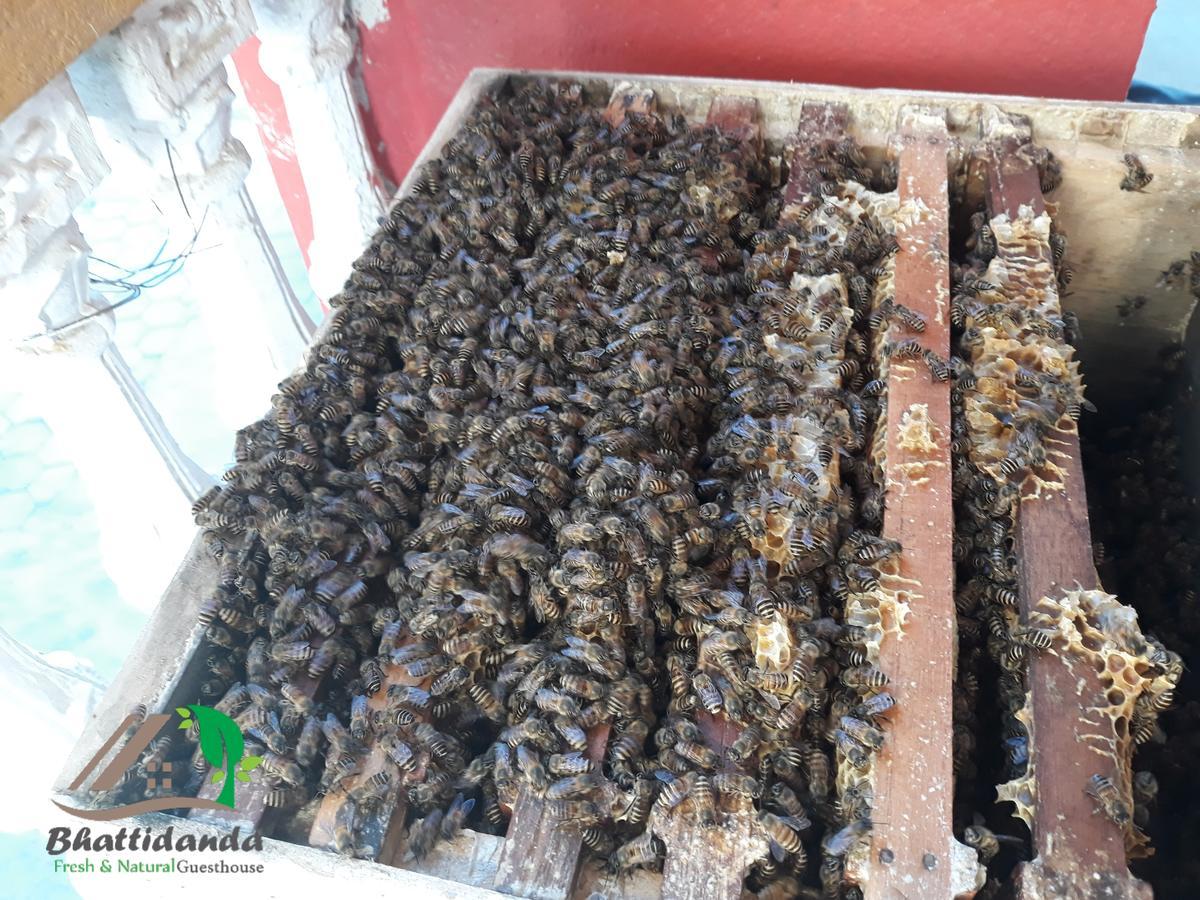 Bhattidanda Fresh & Natural Homestay Dhulikhel Bagian luar foto